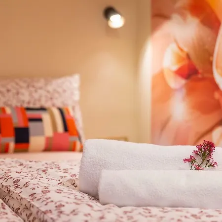 Apartament House Nono *